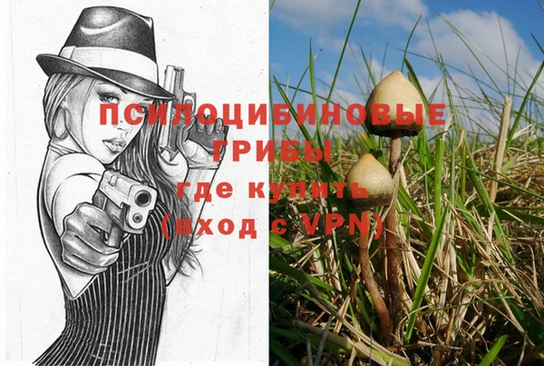 бутират Алексеевка