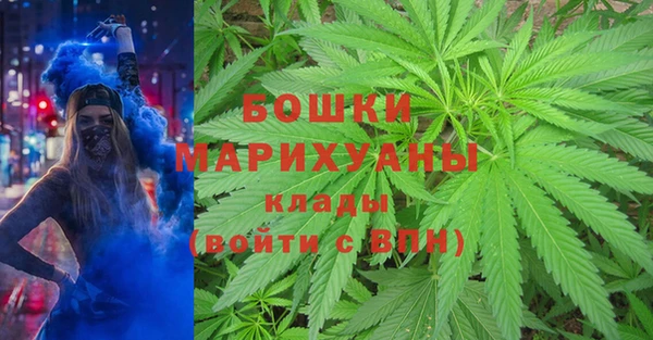 apvp Алзамай